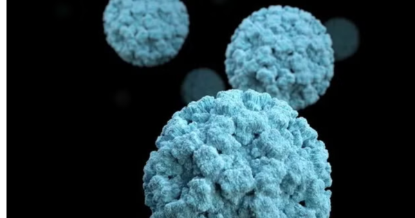 Former Michelin-starred restaurant owners arrested after alleged mass food poisoning